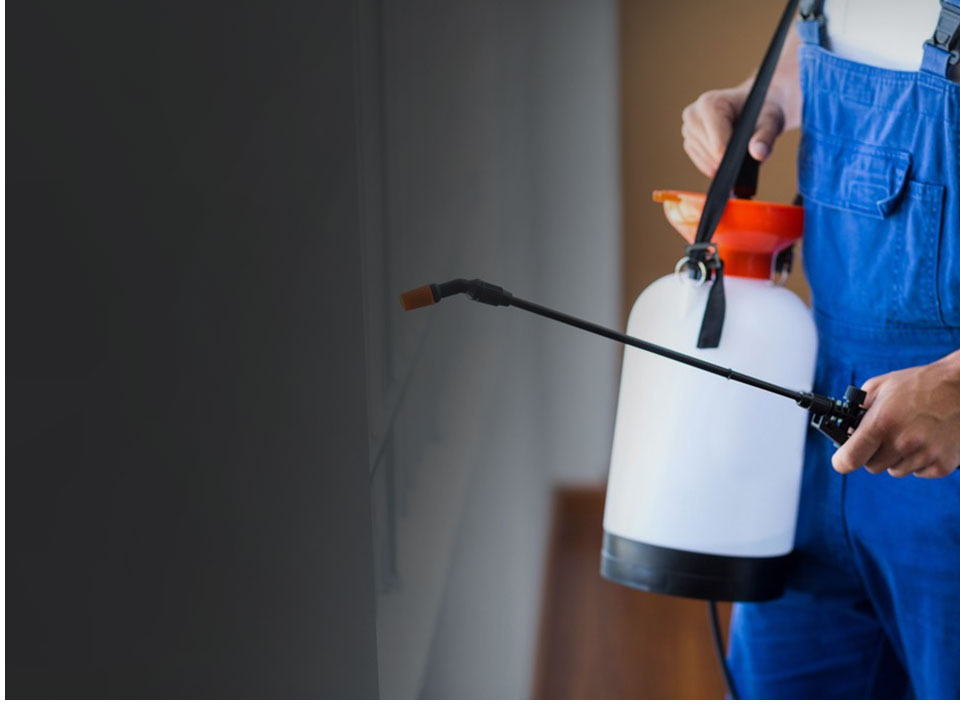 carpet-cleaning-pest-control-newcastle