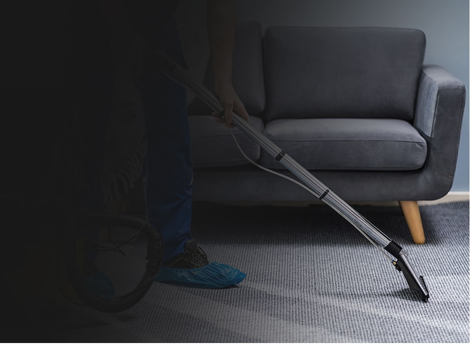 carpet-cleaning-and-pest-control