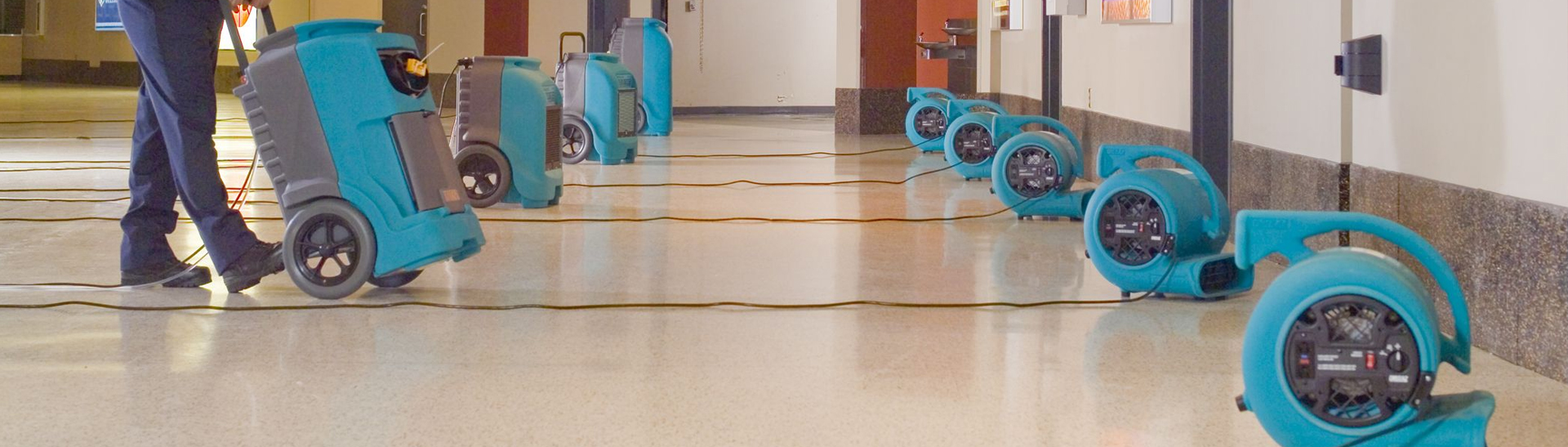 flood damage carpet cleaning newcastle