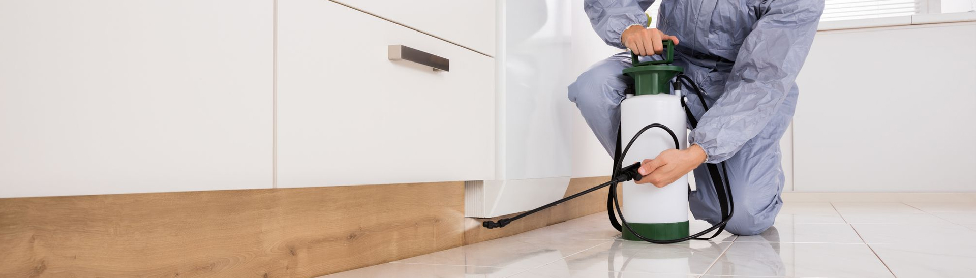 pest control newcastle