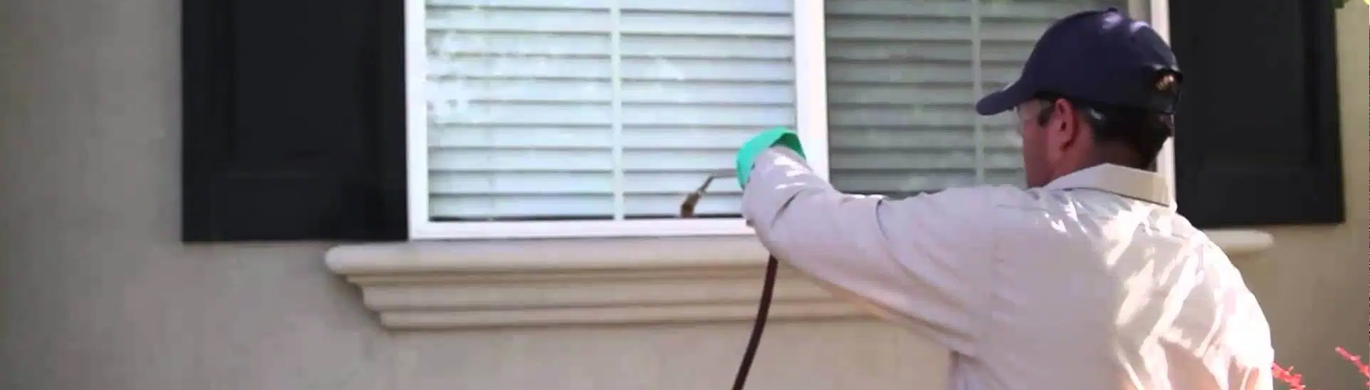 spider pest control newcastle