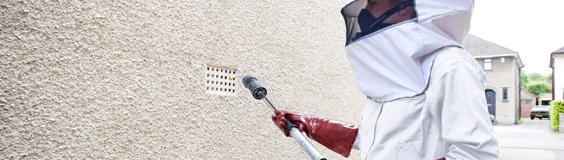 wasp pest control newcastle